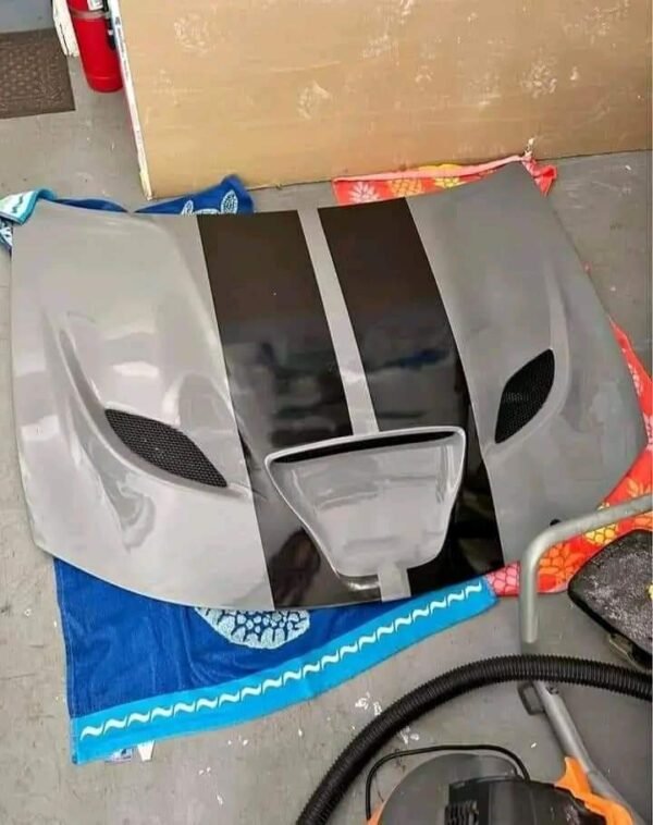 Hellcat Hood