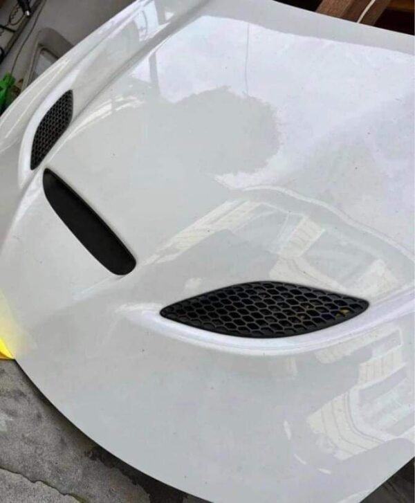 Hellcat Hood - Image 2