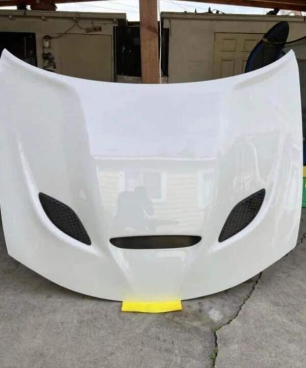 Hellcat Hood