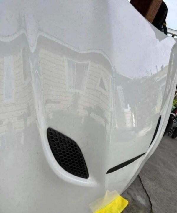 Hellcat Hood - Image 3