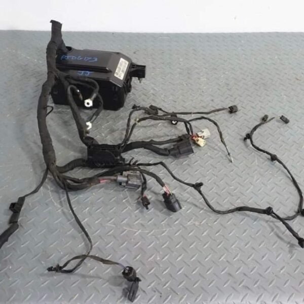 Hellcat power controle module - Image 2