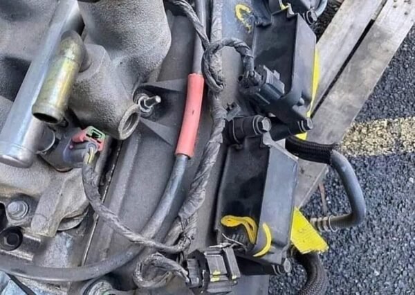 Hemi Engine - Image 2